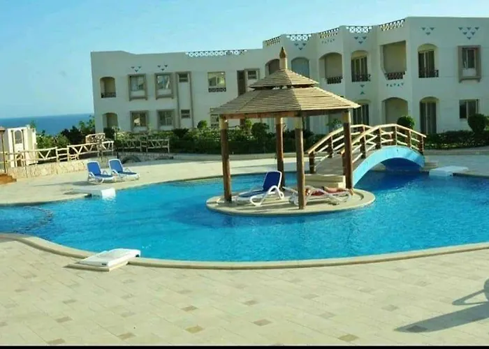 Sharks Pay Sharm-el-Sheikh