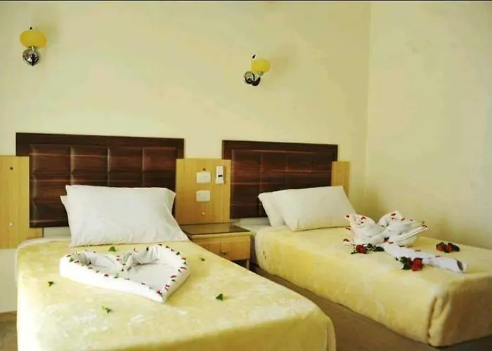 Sharks Pay Resort