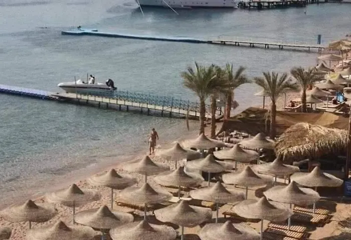 Resort Sharks Pay *